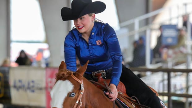 Auburn Equestrian